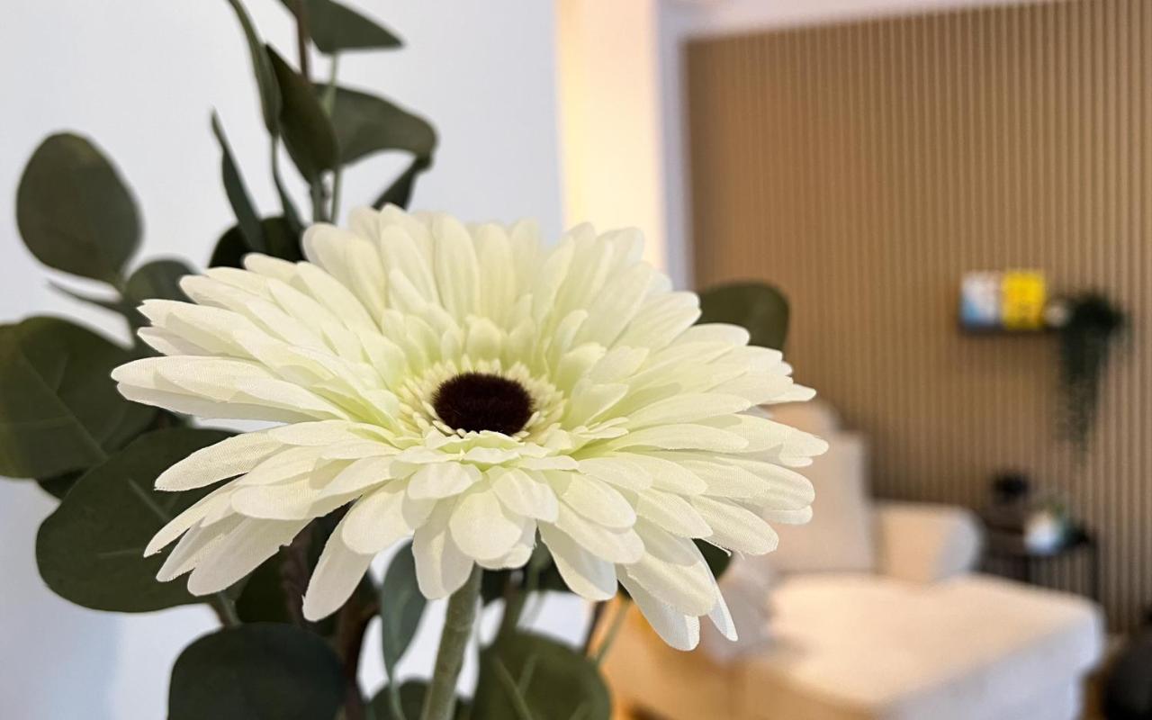 Modernes Studio Appartement Mit Leseecke Gernsbach Ngoại thất bức ảnh